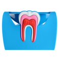 thumbnail image 1 of Estuche para Tarjetas de Nombre commerce business de Odontología de Goma Azul, 1 of 9