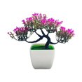 thumbnail image 1 of POINTERTECK Boc Artificial Bonsai Realistic Looking Geometric Shape Potted Unfading Not Withered Maintenance Free Decorate Vibrantly Colored Arti, 1 of 10