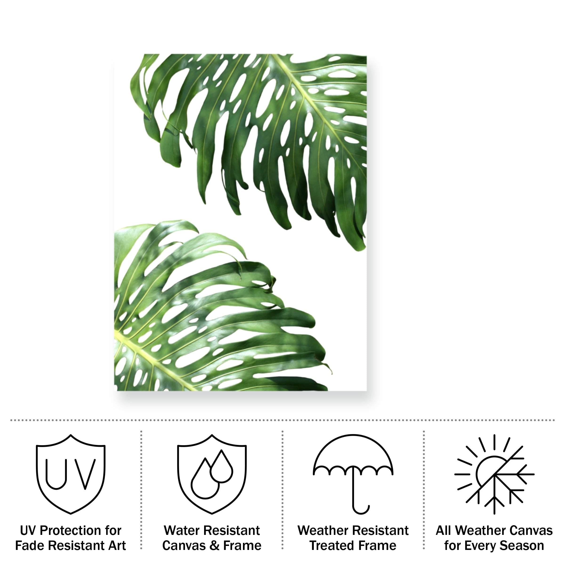 Lexie Greer 'Double Philodendron (color)' Outdoor Canvas