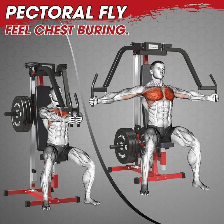 syedee Chest Fly and Reverse Delt Machine, 400 lbs Upper Body Specialty  Machine for Pectoral and Rear Deltoid for Home Gym