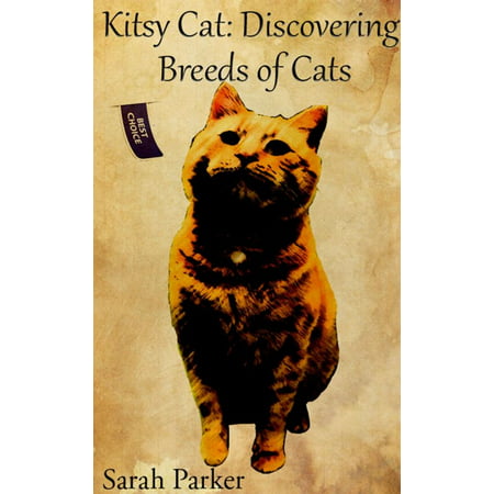 Kitsy Cat: Discovering Breeds of Cats - eBook