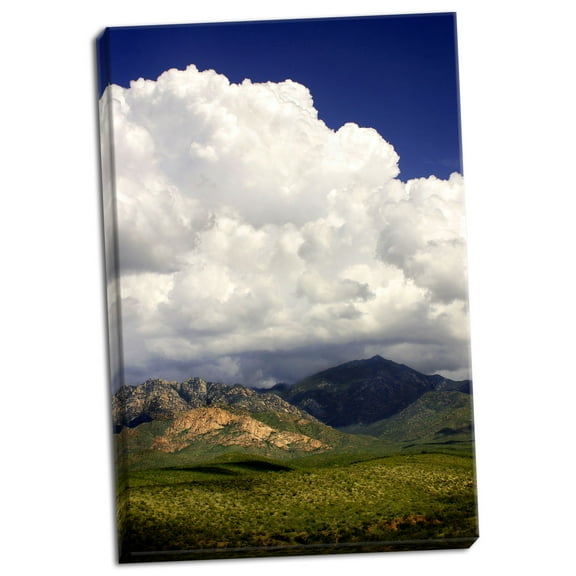 Gango Home Decor The Coming Storm by Douglas Taylor (Ready to Hang); One 24x36in Hand-Stretched Canvas