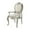 Champagne, variant on Set of 2 Bently Fabric & Champagne Finish Arm Chair, Upholstered Dining Chairs with High Back, Decorative Home Furniture (Champagne)