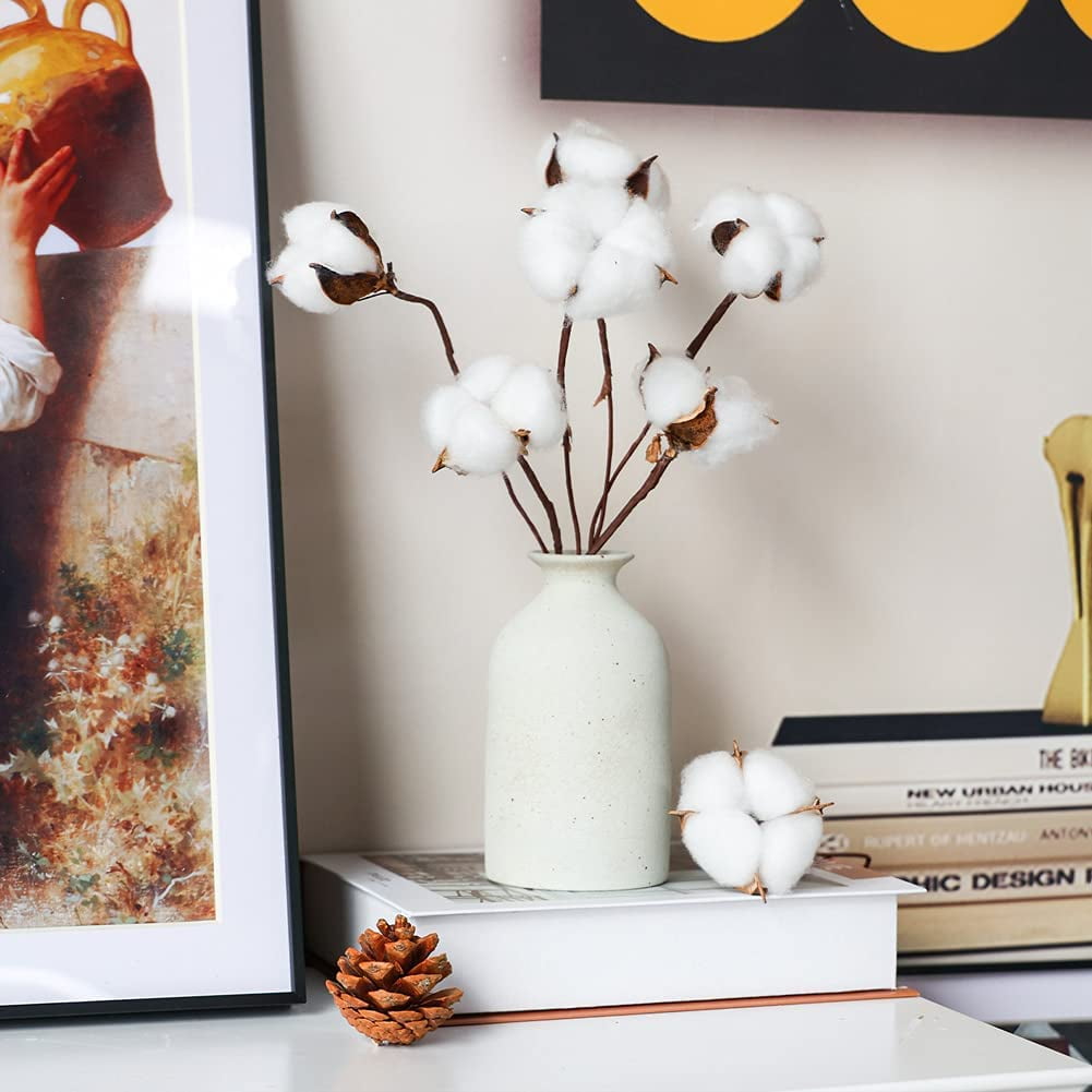 30PCS Natural Dried Cotton Stems 15" Tall, Rustic Cotton Sprigs for Vase Fillers, Floral Arrangements and Farmhouse Fall Decorations and DIY Crafts