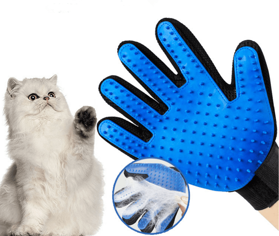 Pet Glove Walmart 2024 www.lexingtonyouththeatreinc