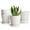 White, variant on BUYMAX 5 inch White Ceramic Indoor Plant Pots with Drainage Holes and Tray, Relief Design Flower Planter, Set of 4, Modern Minimalist Desktop Office Windowsill Decor