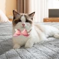 thumbnail image 3 of Pet Necklace with Pink Bow No-toxic Plastic Pet Collar with Extended Chain Bead Neck Chain for Cats Small Medium Dogs Pets Suppies, 3 of 7