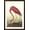 Brown Frame, variant on Art.com American Flamingo Art Print by John James Audubon, 12" x 18"