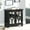 Antique Black, variant on Classic Accent Chest In Antique White With Mirrored Door Accents Doors And Interior Shelving