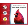 thumbnail image 4 of Pennington Red Cedar Natures Friend Hopper Bird Feeder, 3 lb Capacity, 4 of 12