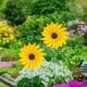 thumbnail image 5 of Girasol Molino De Viento Metal Molino De Viento Estaca De Jardín Esculturas De Viento Para Balcón Patio Decoración De Césped Scienceny HA036108-00, 5 of 6