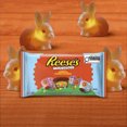 thumbnail image 4 of REESE’S Miniatures with Sprinkles, 200g, 4 of 10