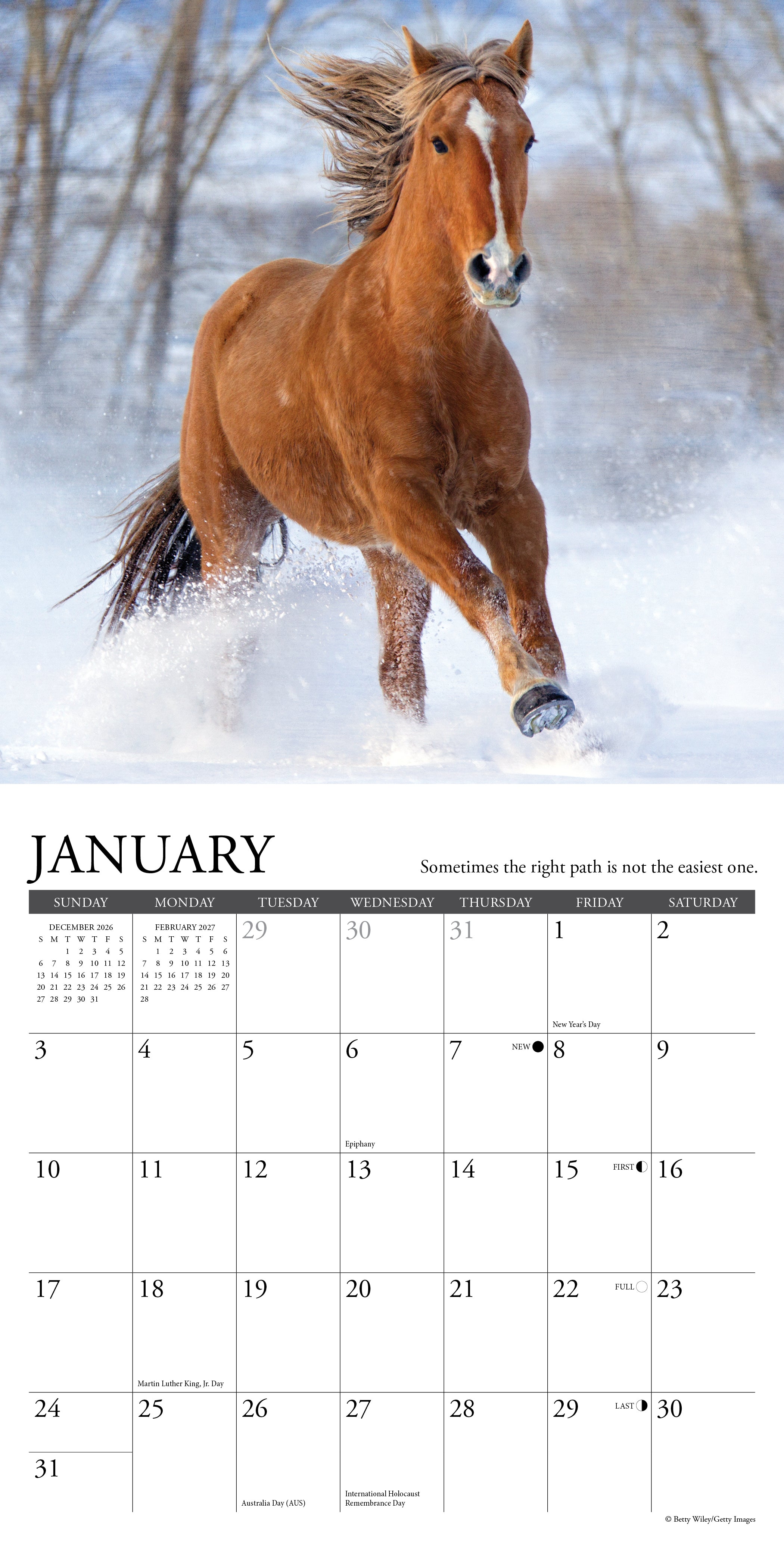 Willow Creek Press, What Horses Teach Us 2027 Mini Wall Calendar
