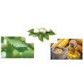 thumbnail image 3 of G5 Hergen Fluide Nourrissant Multi-Action (50 ml), 3 of 4
