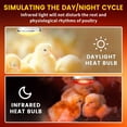 thumbnail image 2 of W Heat Lamp Infra Heat Lamp Bulb for Chicks Reptile Puppies Brooder Bulb Food Service Bathroom Light Therapy Use E Base, 2 of 6