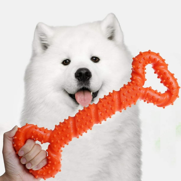 are bones easily digested by a american eskimo dog