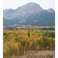 thumbnail image 3 of Glacier National Park Duvet Cover Set, Foggy and Forest Scene with Mountains on the Back, Decorative 3 Piece Bedding Set with 2 Pillow Shams, Calking Size, Blue Grey Pale Coffee, by Ambesonne, 3 of 3