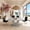 Black, variant on SUDICA 7-Piece Modern Dining Table Set, 63 inch Gray Faux Marble Table with White MDF Base and 6 PU Chairs