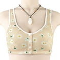 thumbnail image 3 of WILLBEST Brasier Push Up Mujer Ropa Interior Sexy Informal Con Estampados Y Hebilla Frontal Para Mujer, Sin Aros, De Encaje, Talla Grande, 3 of 3