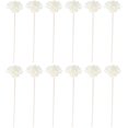 thumbnail image 1 of MAGICLULU 12Pcs Simulated Flower Shaped Aroma Sticks Perfume Diffuser Stick Decorative Rattan Refill for Home, Office, Wedding, 8.26 * 1.96 * 1.96inch White, 1 of 8