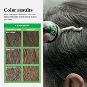 Just For Men Shampoo-In Color (Formerly Original Formula), Mens Hair Color with Keratin and Vitamin E for Stronger Hair - Ash Brown, H-20, Pack of 1