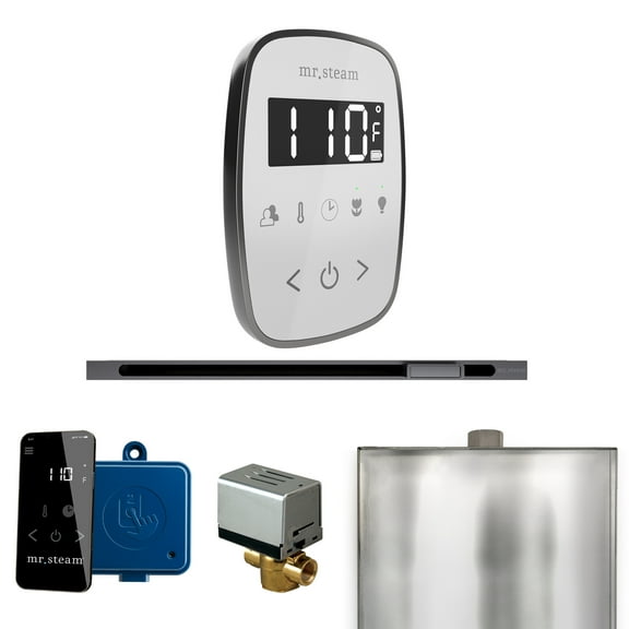 Mr Steam ButlerFlex Steam Shower Pkg w/TempoFlex Control and Linear Steamhead in White Satin Steel