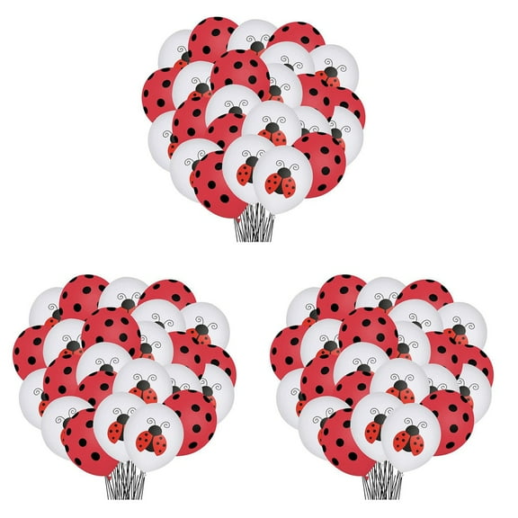 Set of 3 Ladybug Themed Balloon Party Decorations Centerpiece Table Balloons Supplies Miss Child