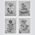 thumbnail image 2 of PixonSign Framed Wall Art Black Botanical Flower Abstract Prints, Set of 4 Nature Wildernes Paintings, Farmhouse Rustic Wall Décor, Adhesive Canvas Poster for Home Decor - 12"x16" White, 2 of 5