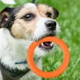 thumbnail image 6 of SPRING PARK Dog Training Ring Fitness Tool Flying EVA Interactive Pet Toy for Small Medium Large Dogs, 6 of 8