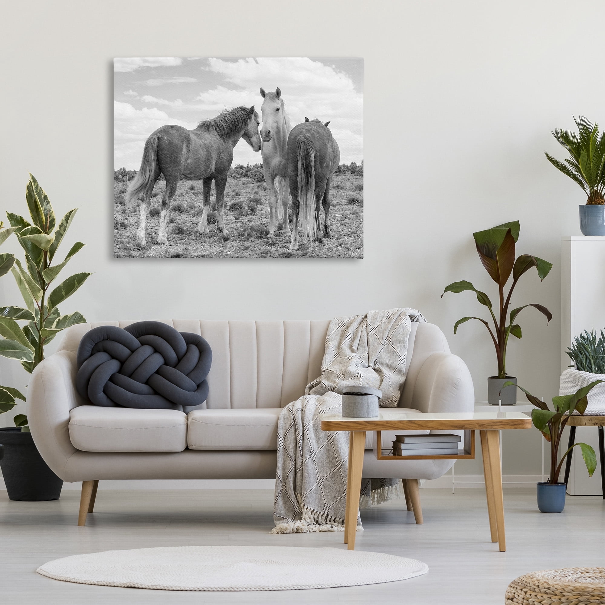Stupell Industries Horse Trio in Desert Animals & Insects Photography Gallery Wrapped Canvas Art Print Wall Art, 48 x 36