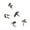 Black, variant on Acrylic Mirrour Bird Wall Decal Removable Stickers for Home, Bedroom, Bathroom, Living Room Decor