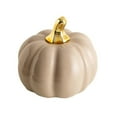 thumbnail image 1 of SUNSIOM Ceramic Pumpkins Artificial Pumpkins Decorative Pumpkins Modern Table Centerpieces for Home, 1 of 9