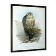 thumbnail image 2 of Designart 'Ancient Bird Life V' Traditional Framed Art Print, 2 of 4