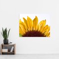 thumbnail image 2 of Sunflower Petals Bright Yellow Photo Extra Large XL Wall Art Poster Print, 2 of 3