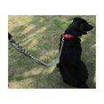thumbnail image 4 of Sailing Hundehalsband, Bequemes Hundehalsband Verstellbares Hundehalsband mit Einfacher Schnalle Starkes Nylon Gepolstertes Welpenhundehalsband (L (Hals 42-57, 4 of 5