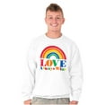 thumbnail image 5 of Vintage Love Always Wins Rainbow Sweatshirt for Men or Women Brisco Brands L, 5 of 6