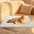 thumbnail image 4 of Super Soft Pet Mat for Cats and Dogs, Paw Print and Solid Color Cat Blanket, Self-Heating Thermal Mat, Cozy Plush Throw, Indoor Pet Warmer Mat, 4 of 6