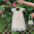 thumbnail image 2 of Toddler Girl Dresses Fly Sleeve Butterfly Tulle Lace Dance Party Princess Dresses Clothes for Girls Size 12-18 Months, 2 of 5