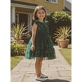 thumbnail image 4 of BemeyourBBs Toddler Baby Girl Formal Dress Toddler Wedding Guest Dress Girls Butterfly Tulle Tutu Dress Baby Girl Elegant Flutter Sleeve Birthday Party Princess Dresses 3 4 5 6 7 8 9 10 Years, 4 of 9