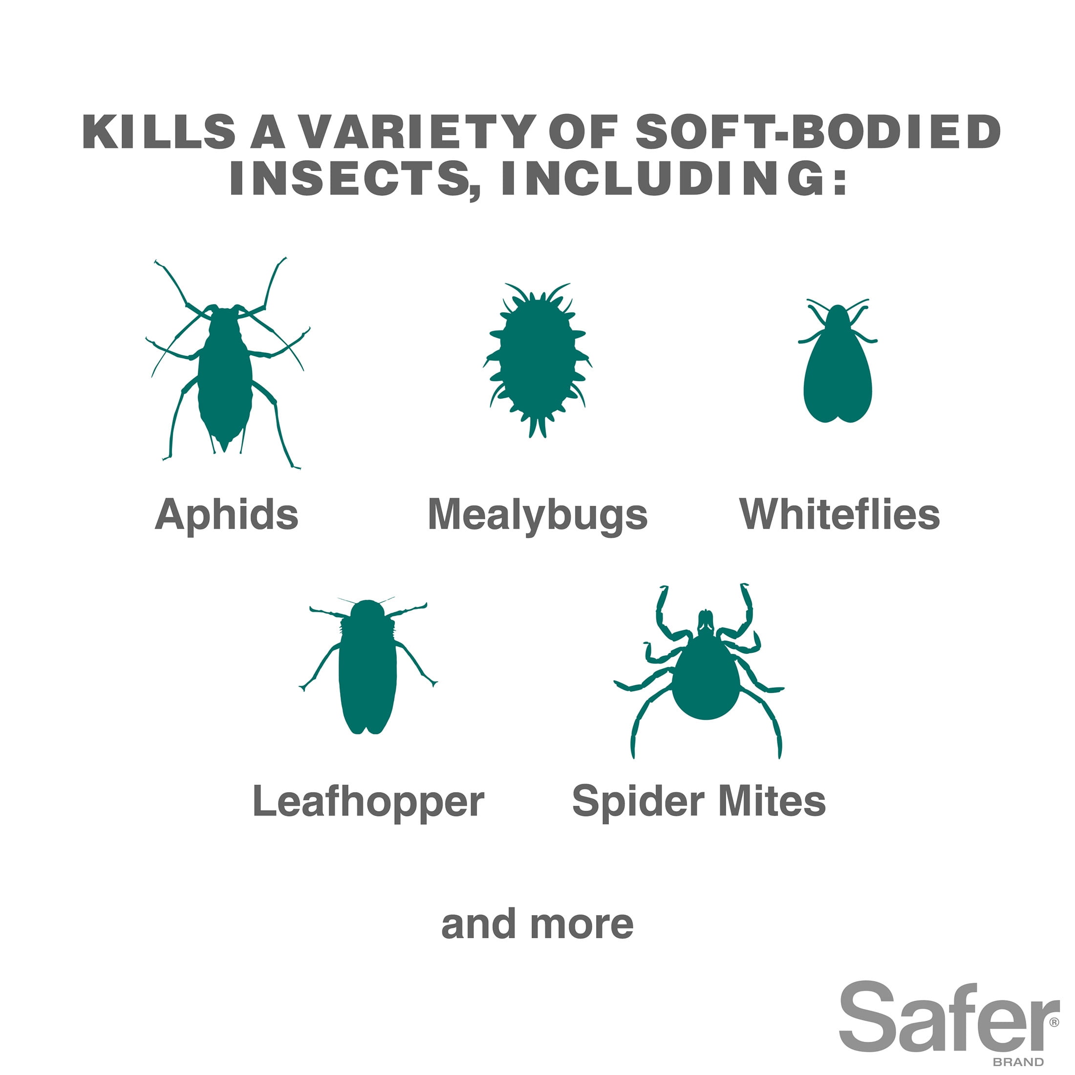 Safer Brand OMRI Listed Insect Count Killing Soap, 16 Fluid Ounce Concentrate