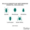 thumbnail image 2 of Safer Brand OMRI Listed Insect Count Killing Soap, 16 Fluid Ounce Concentrate, 2 of 14