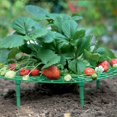 thumbnail image 5 of 1 estante de jardinería, estante para balcón de fresas, versión europea de verduras., 5 of 5