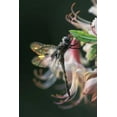 thumbnail image 2 of Rotenberg, Nancy 17x24 Gold Ornate Wood Framed with Double Matting Museum Art Print Titled - Georgia, Close-up of dragonfly Backlit on Azalea, 2 of 4