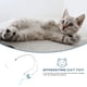 thumbnail image 4 of Juguete para gatos resistente al desgaste, accesorio para gatos., 4 of 5