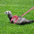 thumbnail image 7 of Holzlrgus Small Pet Harness Vest and Leash Set with Bowknot and Bell - Adjustable Soft Breathable Chest Strap Harness for Outdoor Walking Guinea Pigs, Ferret, Chinchilla (Pink), 7 of 7