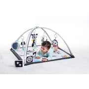 Tiny Love Magical Tales Black & White Gymini, White,