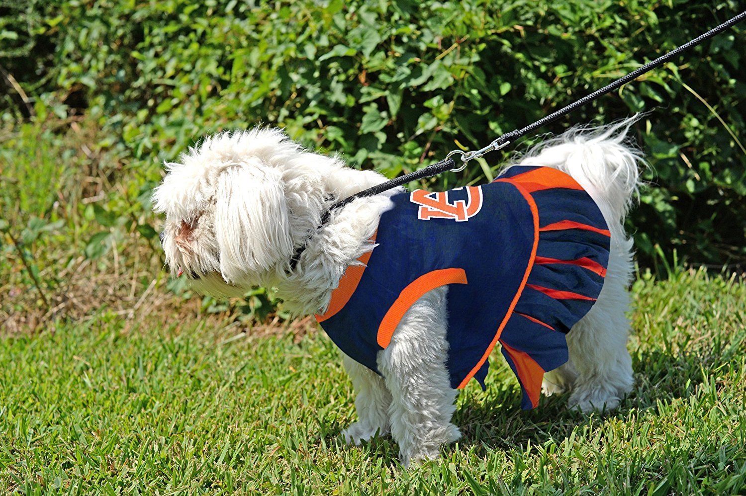 detroit tigers pet jersey