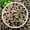 12 lb, variant on 12 lb Aquarium Gravel 1/4" Ph-pea River Rocks Fish Tank Decor