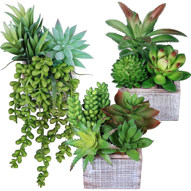 Juego de 3 plantas suculentas en macetas pequeñas, decoración de arreglos, plantas suculentas falsas verdes surtidas en macetas de madera rústicas para el baño de la sala de estar del hogar