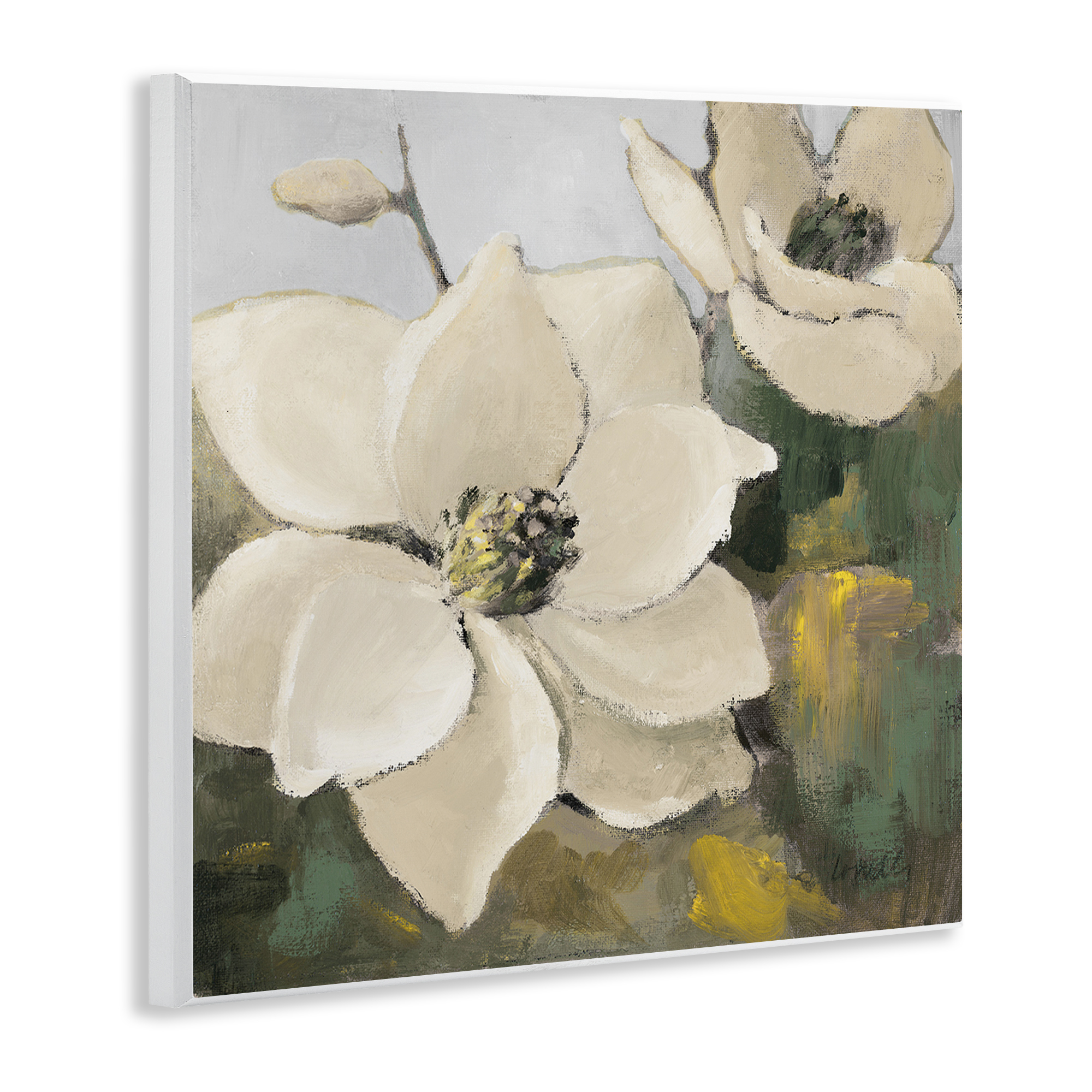 Stupell Industries Two Magnolia Blossoms Botanical & Floral Painting Unframed Art Print Wall Art, 12 x 12